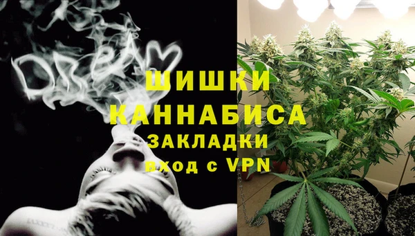 2c-b Рославль