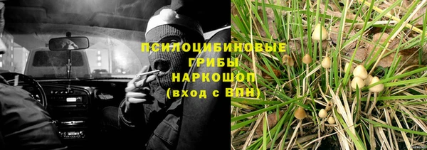 ECSTASY Абдулино