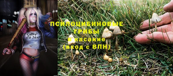 ECSTASY Абдулино