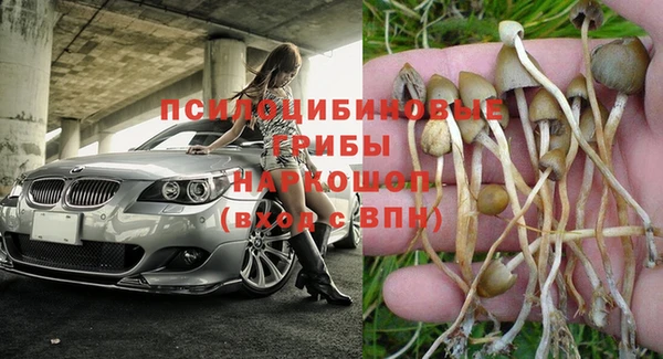 первитин Россошь