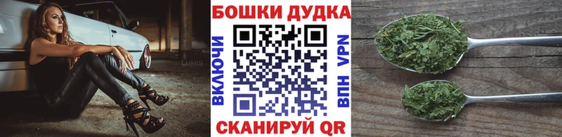 Канабис планчик  Западная Двина 